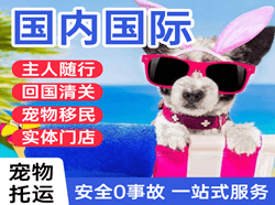 伊尔施航空运输国际宠物托运 【国