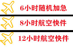 伊尔施航空运输快递公司,专业空运当天件